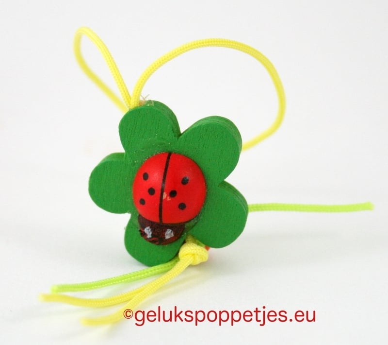 Lucky ladybug doll on leaf